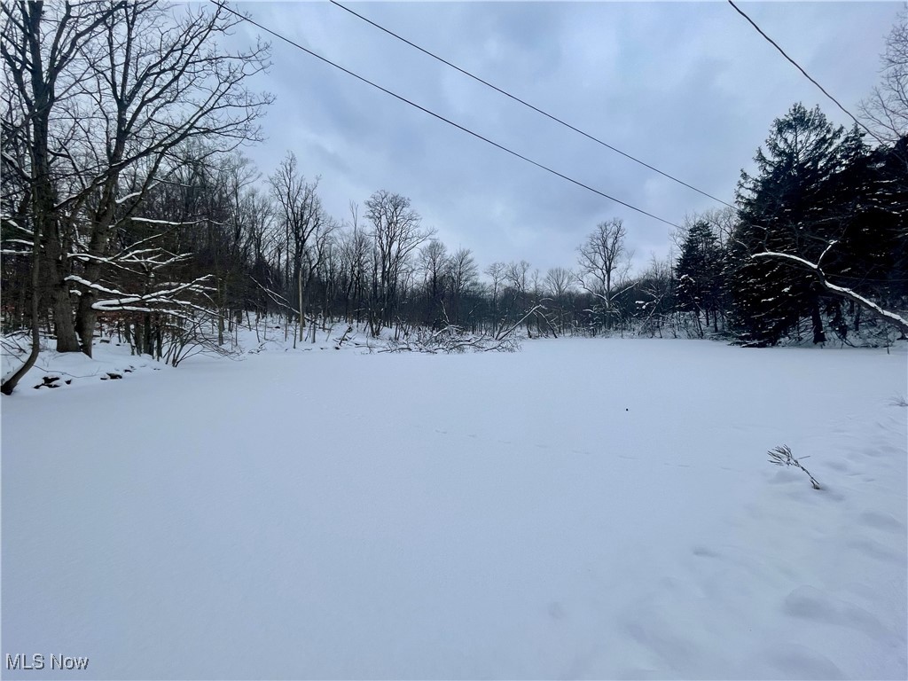 7791 Hoertz Road Parma OH 44134