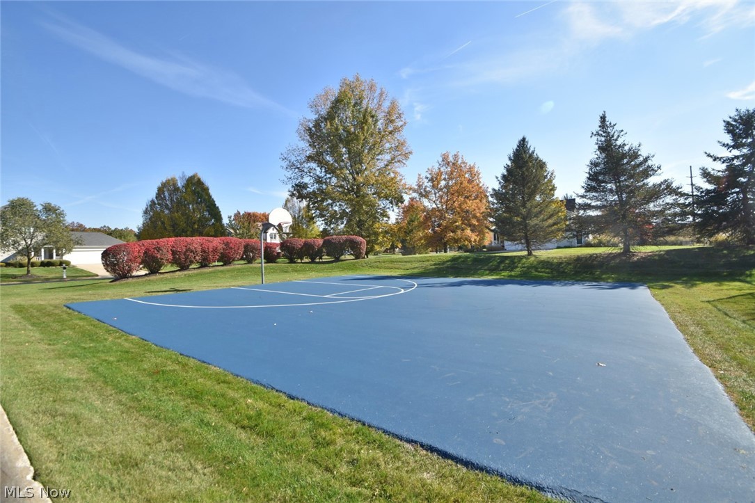 5384 Wilshire Park Drive Hudson OH 44236