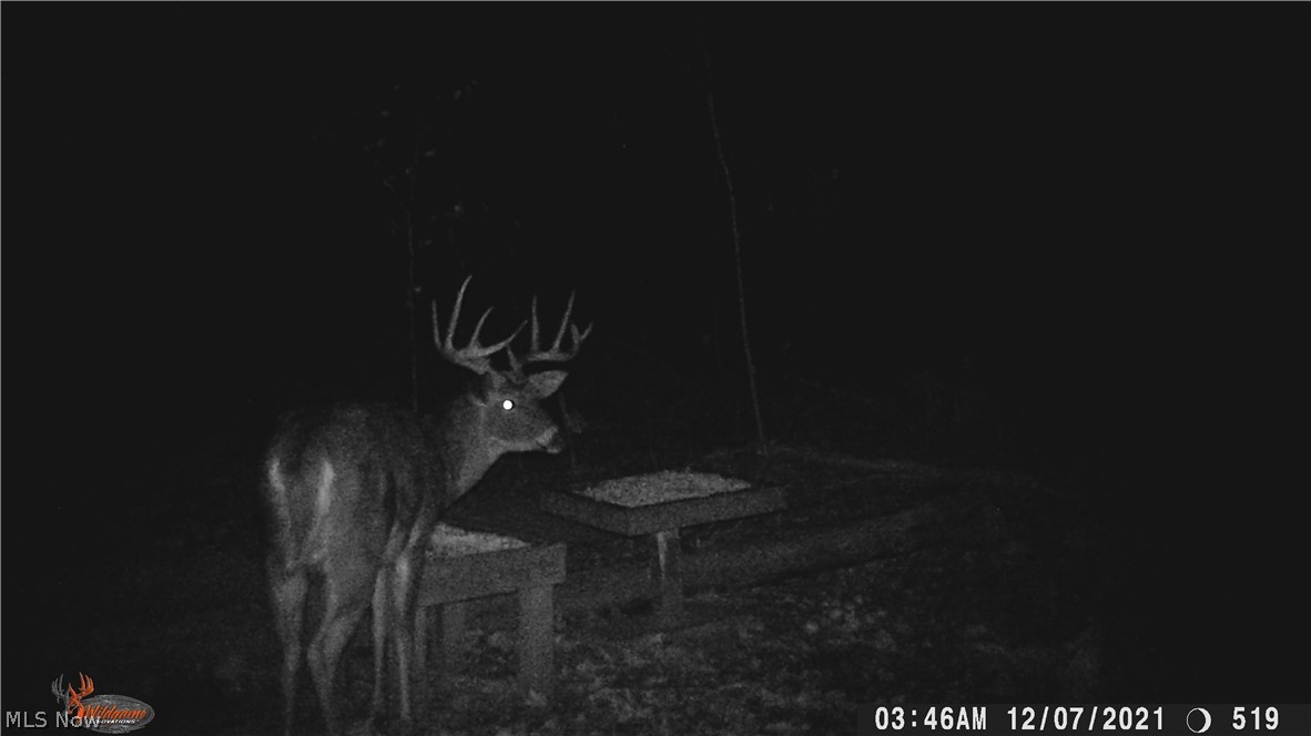 2315 Howland Wilson Road Cortland OH 44410