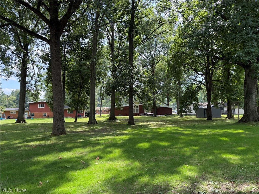 447 Catherine Street Liberty OH 44505