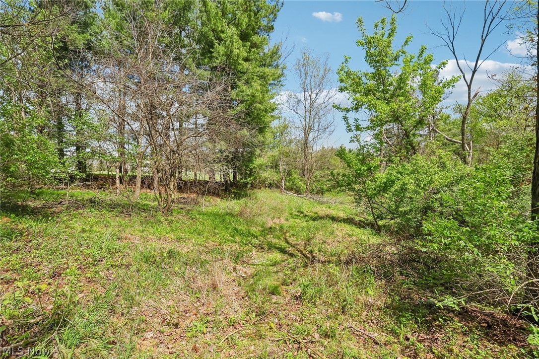 7802 Avon Lake Road Lodi OH 44254