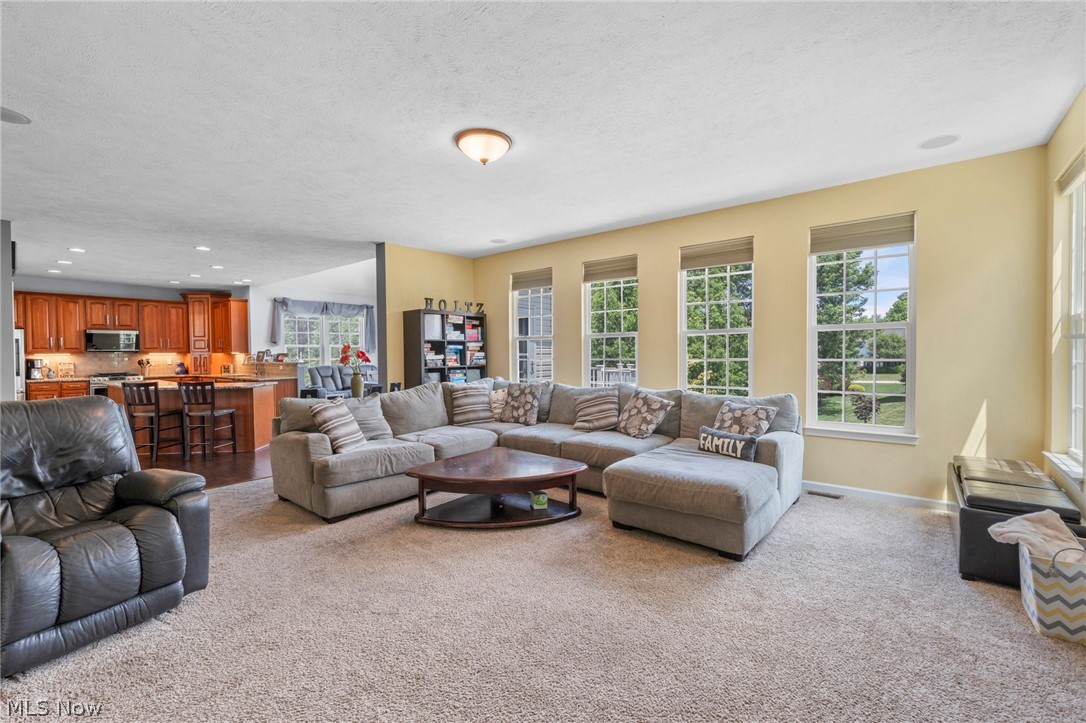 1165 Jonah Drive Copley OH 44321