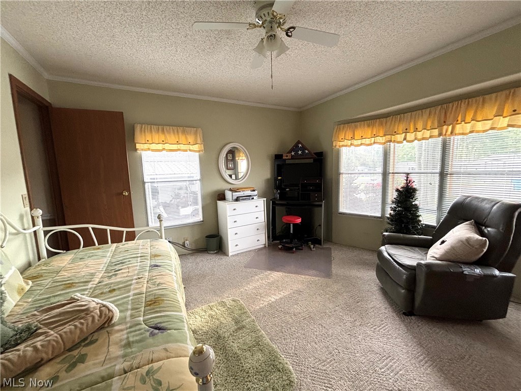 1229 Columbiana Lisbon Road Columbiana OH 44408