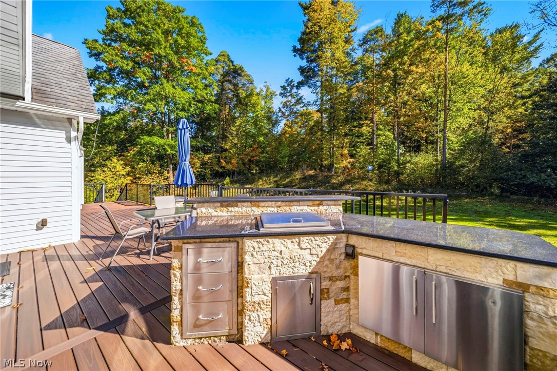 10893 Lakebrook Drive Kirtland OH 44094