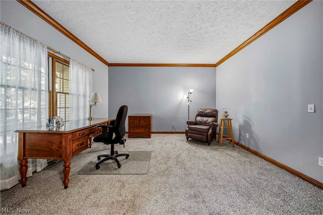10893 Lakebrook Drive Kirtland OH 44094