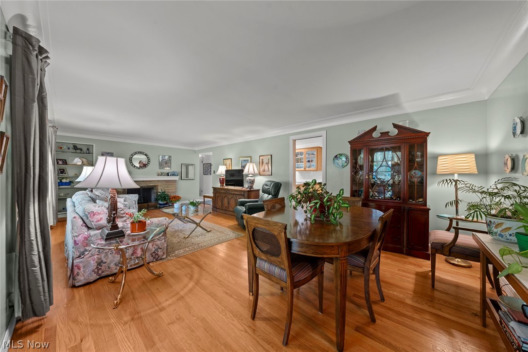1875 Caronia Drive Lyndhurst OH 44124
