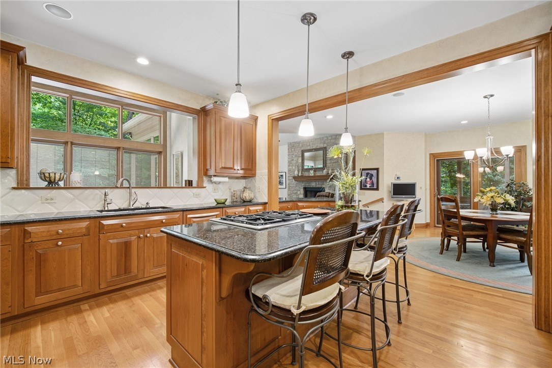 388 Lily Pond Court Columbus OH 43230
