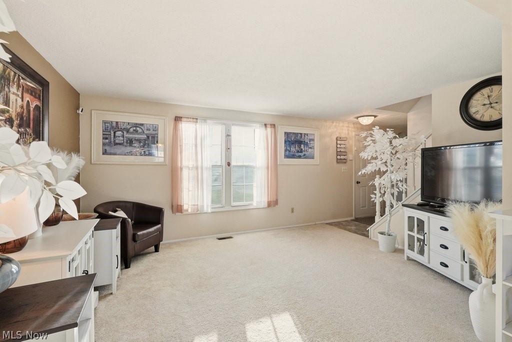 5518 Pond Court Stow OH 44224
