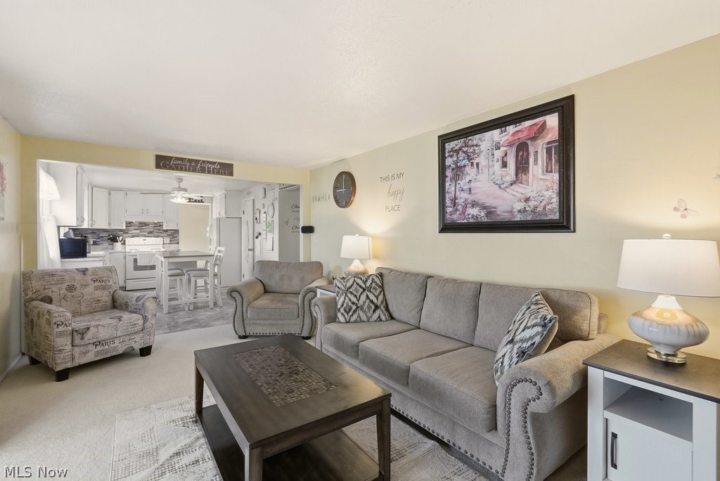 5518 Pond Court Stow OH 44224
