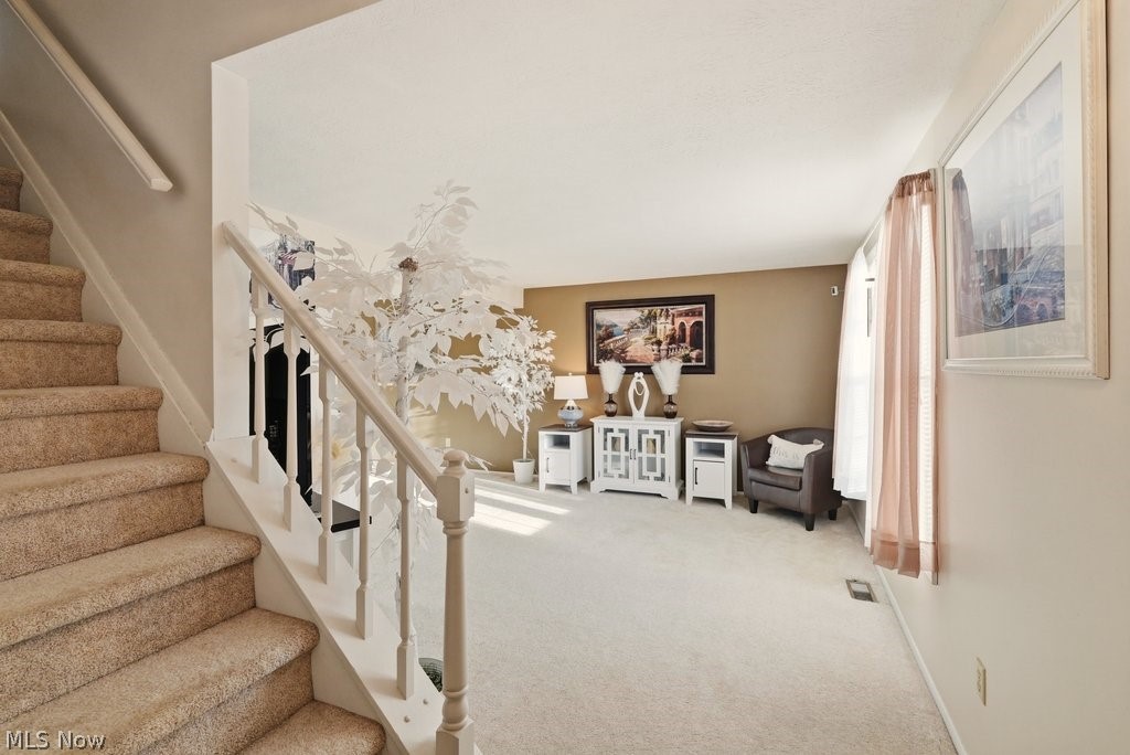 5518 Pond Court Stow OH 44224