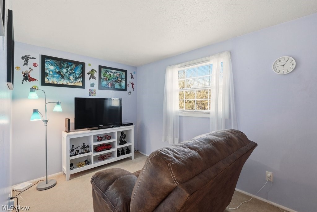 5518 Pond Court Stow OH 44224