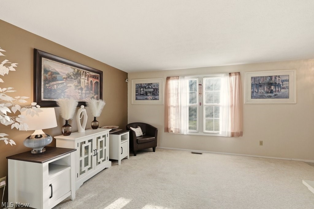 5518 Pond Court Stow OH 44224