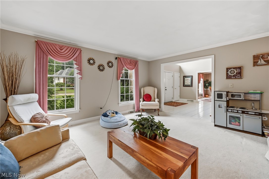 300 Russo Drive Canfield OH 44406