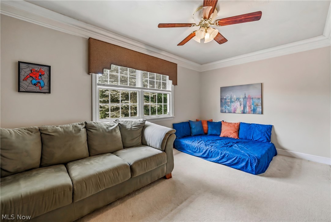 300 Russo Drive Canfield OH 44406