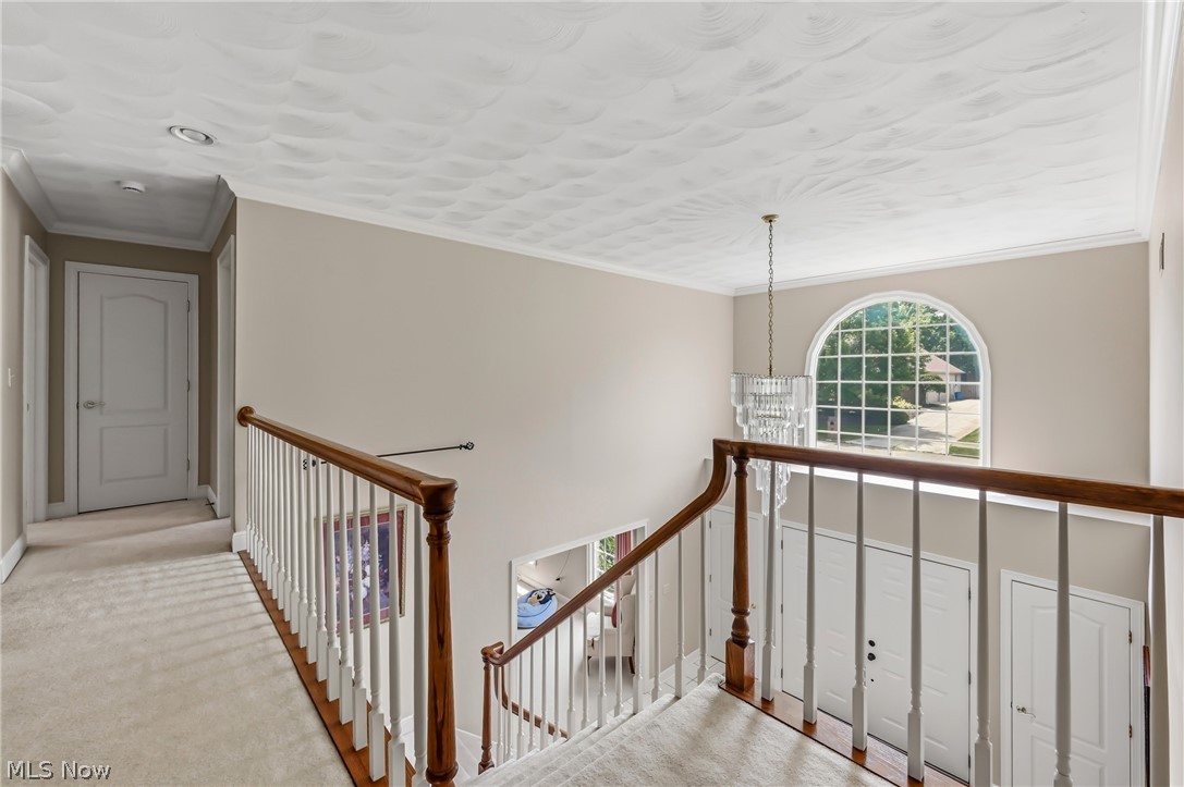 300 Russo Drive Canfield OH 44406