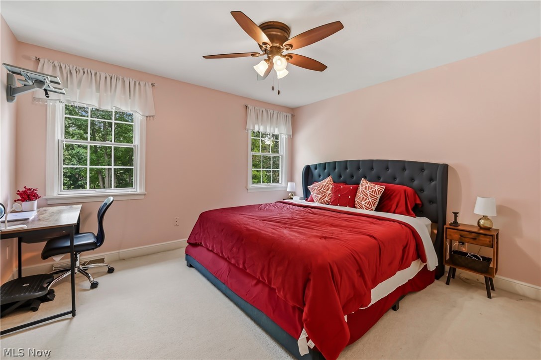 300 Russo Drive Canfield OH 44406