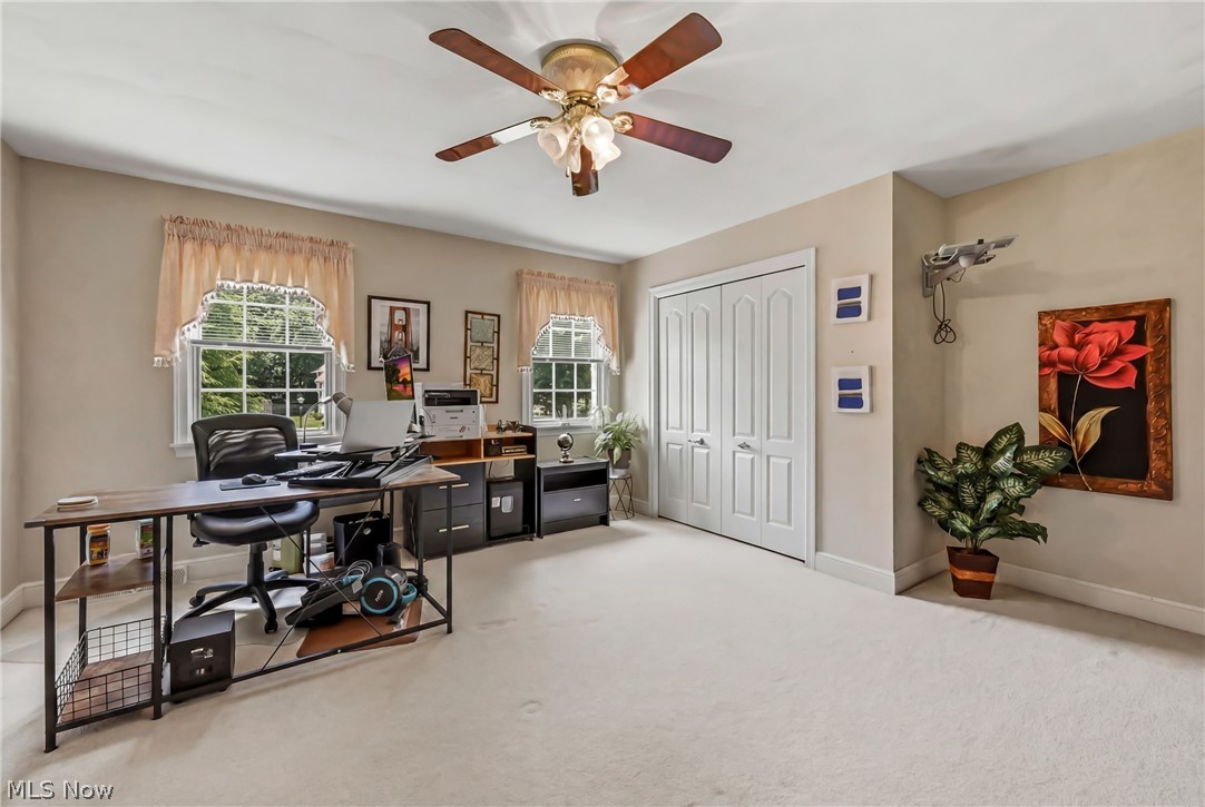 300 Russo Drive Canfield OH 44406