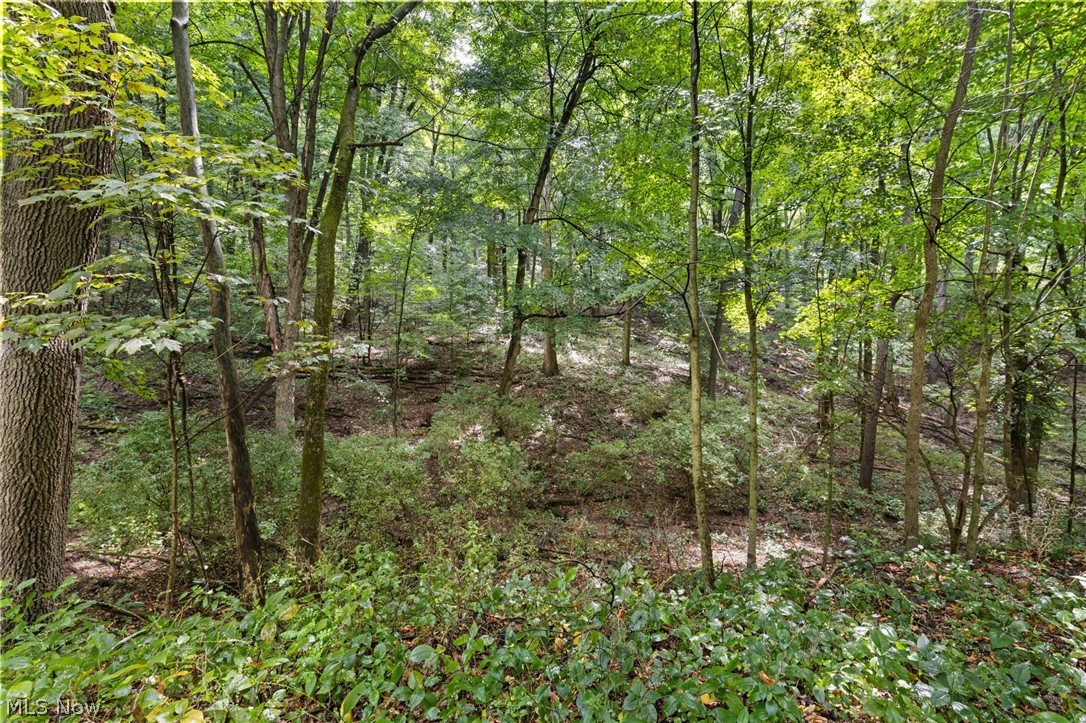 105 Mill Road Bellville OH 44813