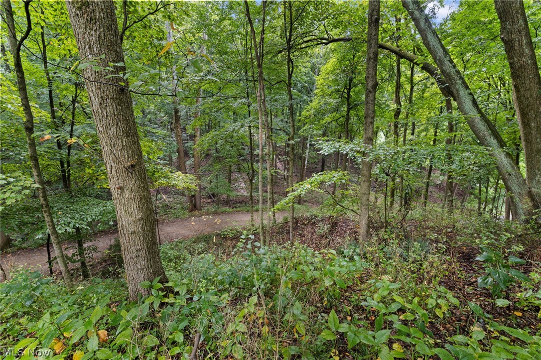 105 Mill Road Bellville OH 44813