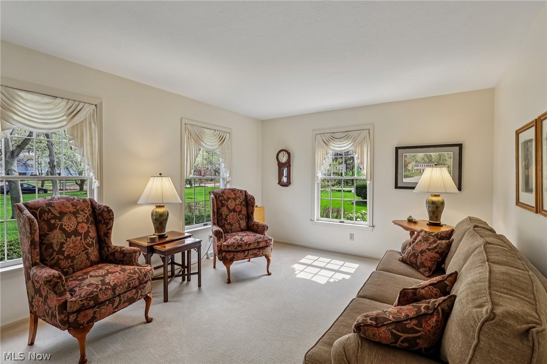 6860 Cliffside Drive Vermilion OH 44089
