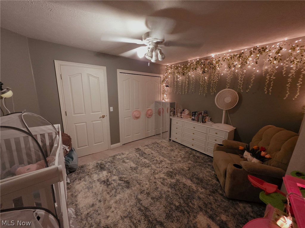 16675 Anne Lane Chagrin Falls OH 44023
