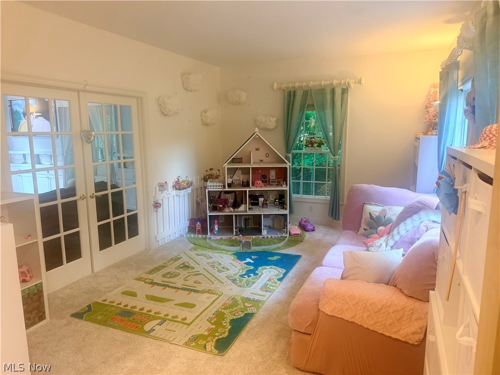 16675 Anne Lane Chagrin Falls OH 44023