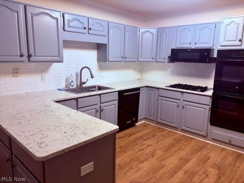 6625 Pear Tree Lane Mentor OH 44060