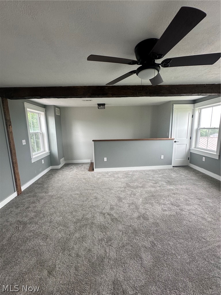 41381 Brown Road Bethesda OH 43719