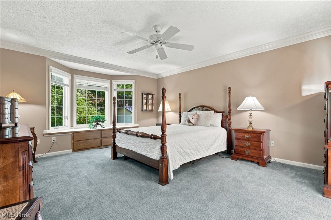 517 Rockwood Court Avon Lake OH 44012