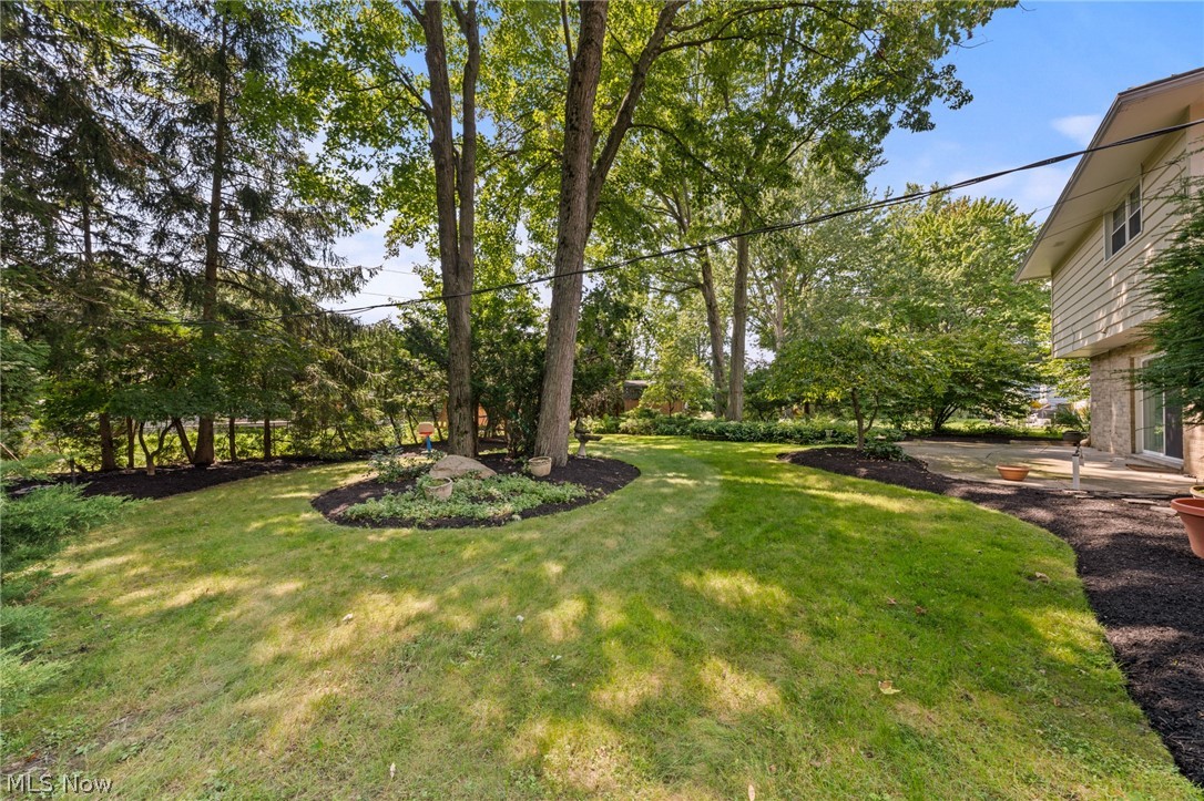 5282 Graham Drive Lyndhurst OH 44124