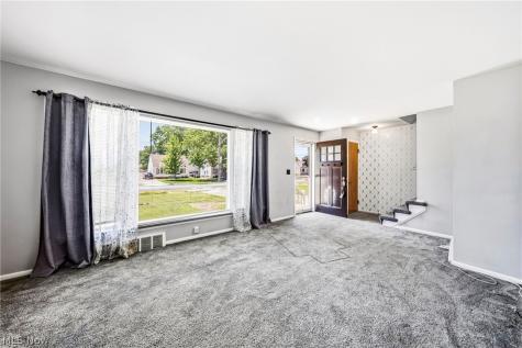 423 E 305th Street Willowick OH 44095
