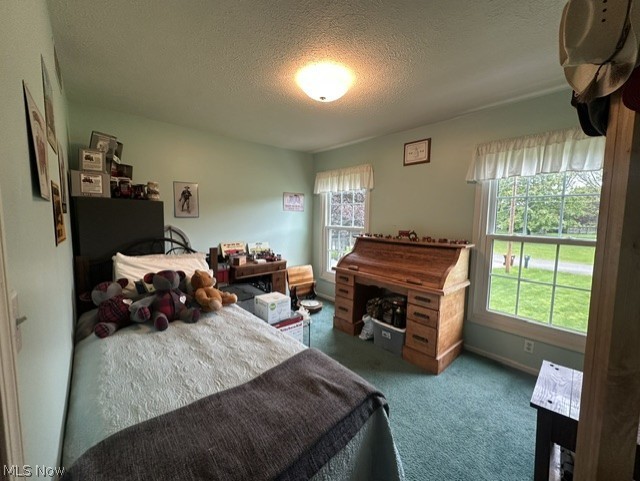 149 Mapleview Court New Middletown OH 44442
