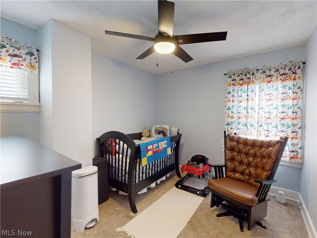 3740 W 132nd Street Cleveland OH 44111