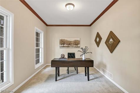 32249 Hawthorne Court Avon Lake OH 44012