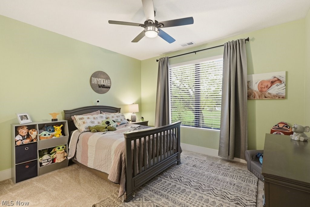2082 Lanterman Circle Hinckley OH 44233