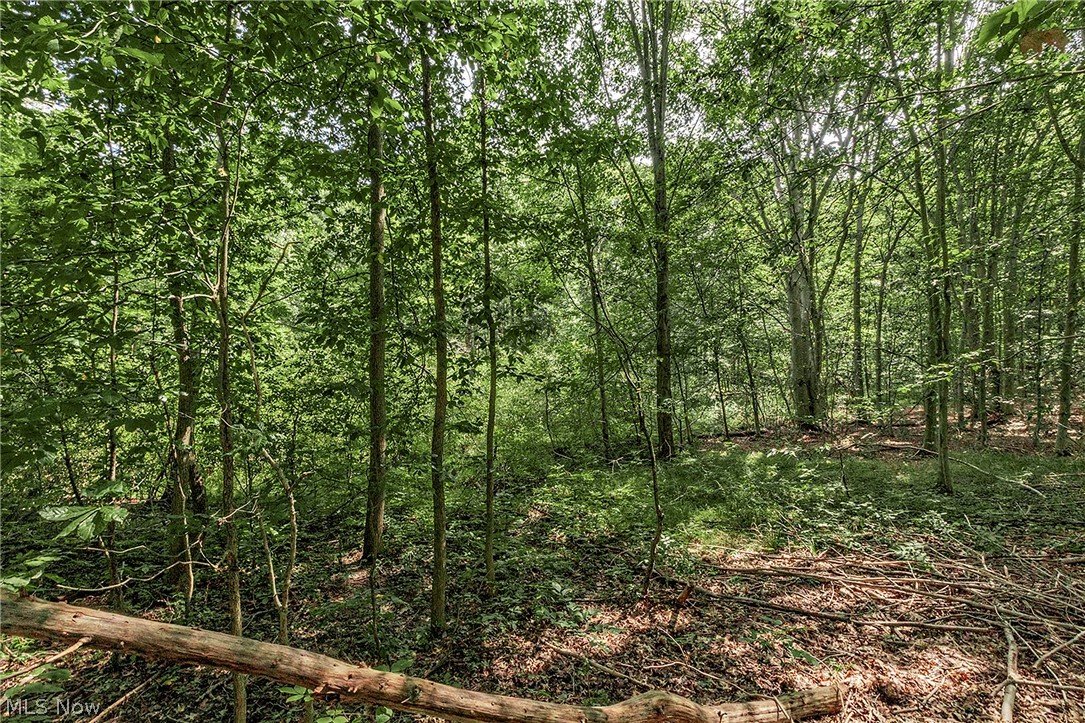 6635 Liberty Road Solon OH 44139