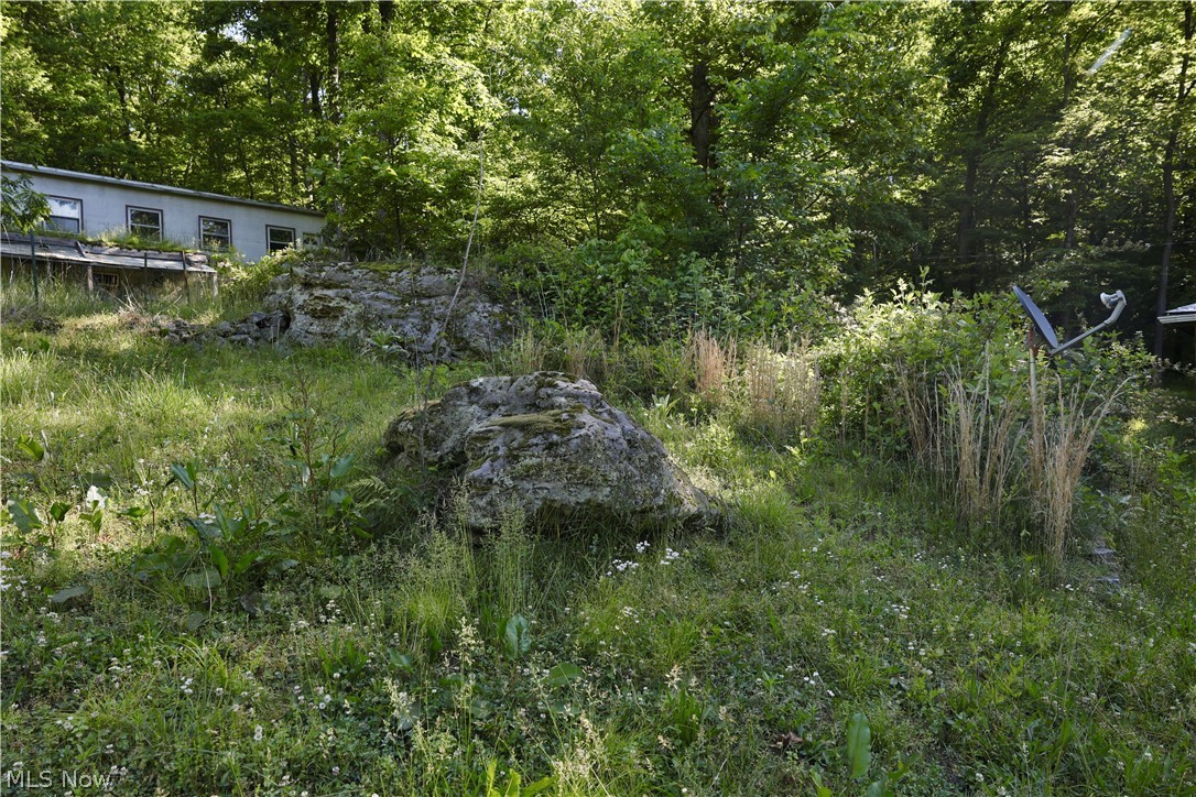 13171 Private Road 231 Big Prairie OH 44611
