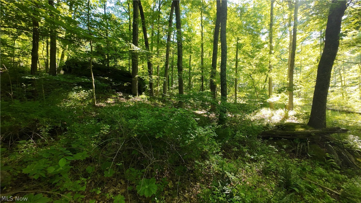 13171 Private Road 231 Big Prairie OH 44611
