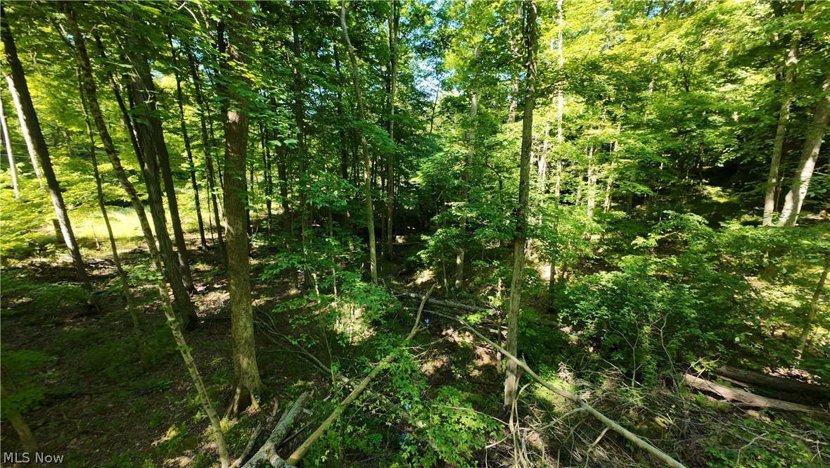 13171 Private Road 231 Big Prairie OH 44611