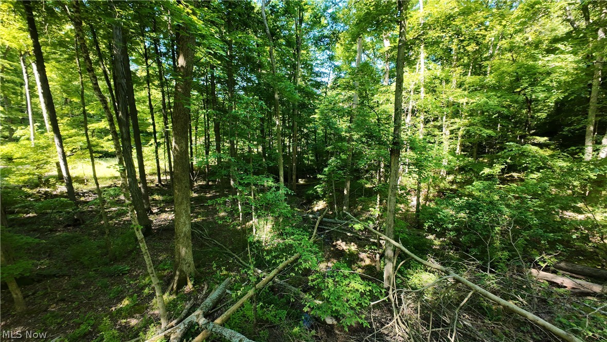 13171 Private Road 231 Big Prairie OH 44611
