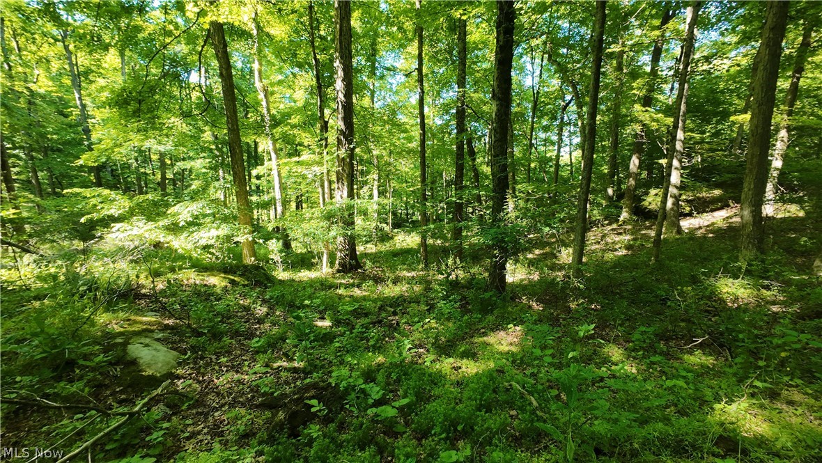 13171 Private Road 231 Big Prairie OH 44611