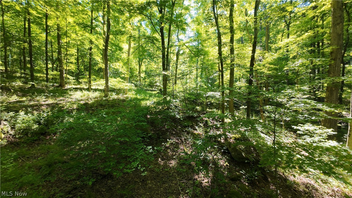 13171 Private Road 231 Big Prairie OH 44611