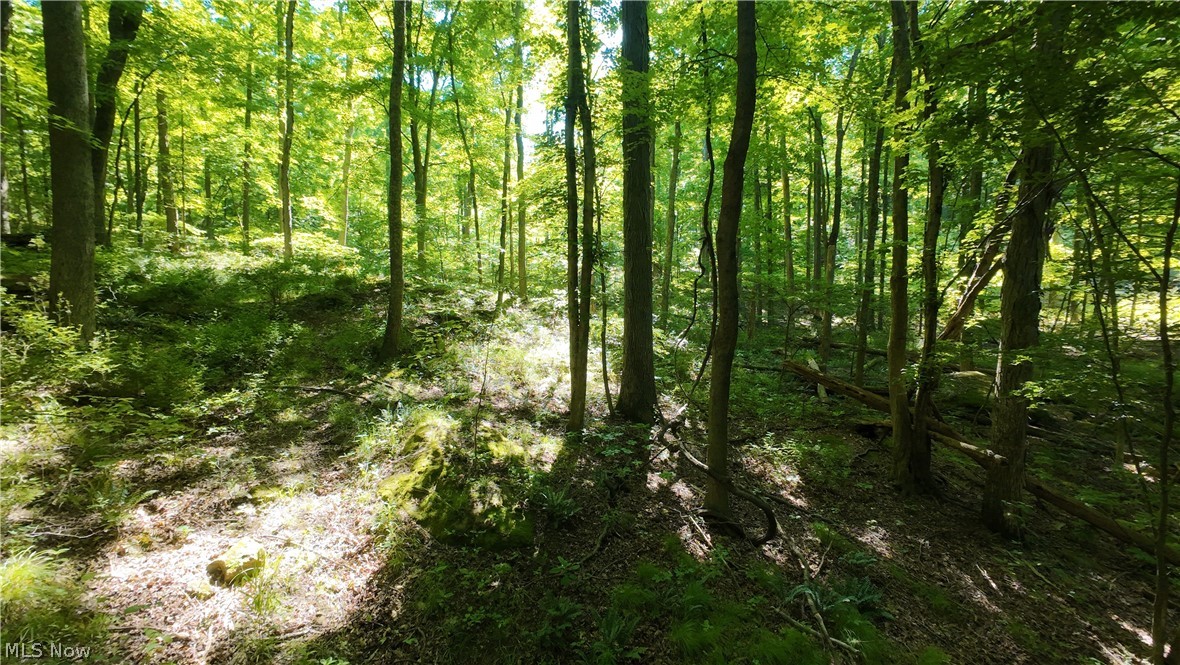 13171 Private Road 231 Big Prairie OH 44611