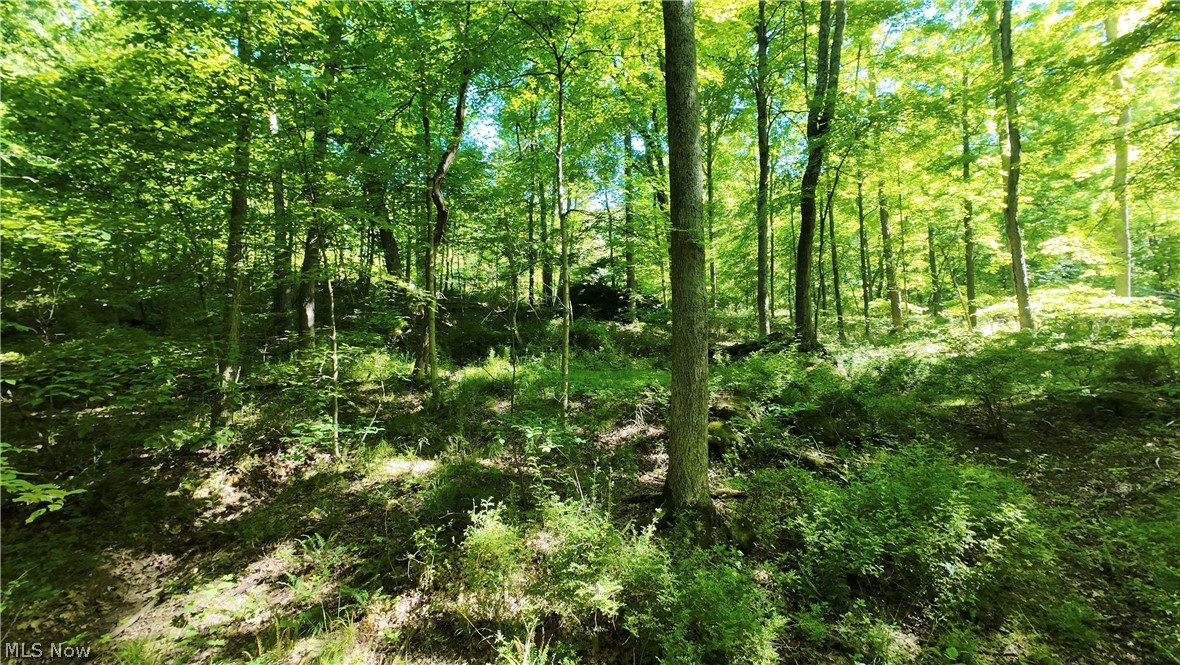 13171 Private Road 231 Big Prairie OH 44611