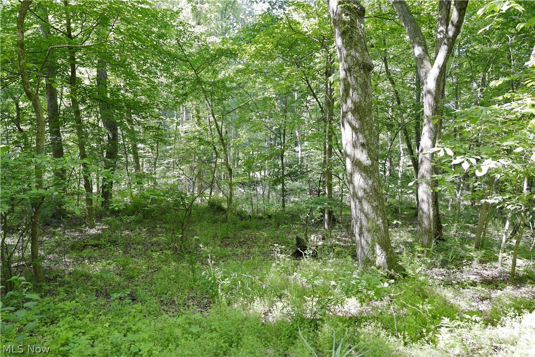 13171 Private Road 231 Big Prairie OH 44611