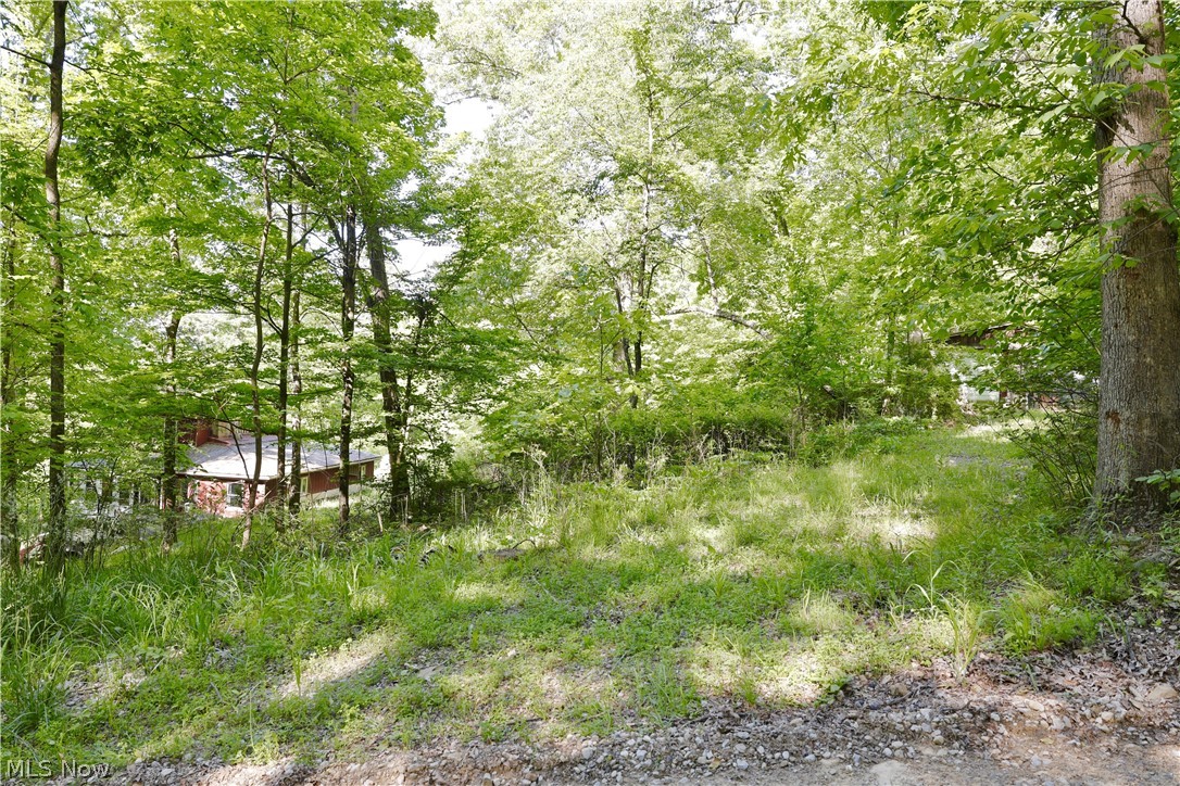 13171 Private Road 231 Big Prairie OH 44611