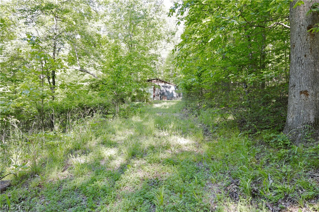 13171 Private Road 231 Big Prairie OH 44611