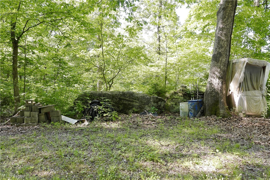 13171 Private Road 231 Big Prairie OH 44611