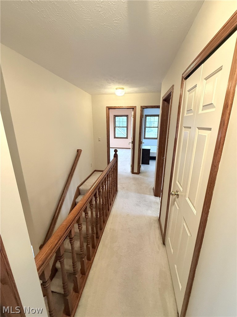 8160 Buckboard Lane Mentor OH 44060