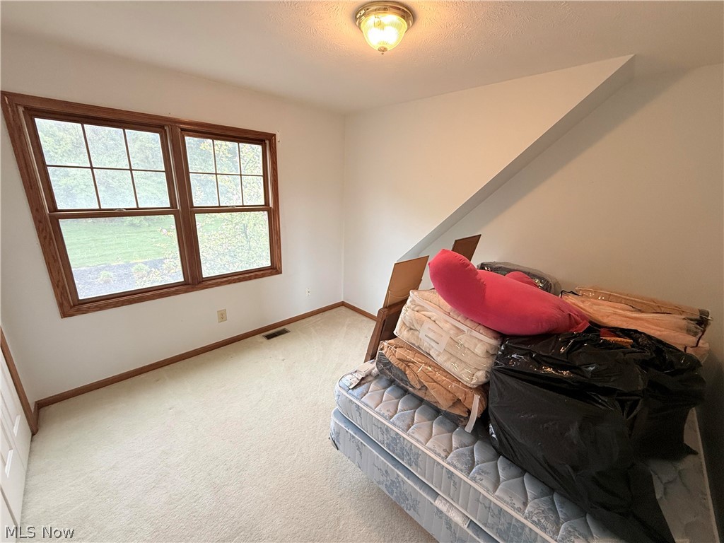 8160 Buckboard Lane Mentor OH 44060